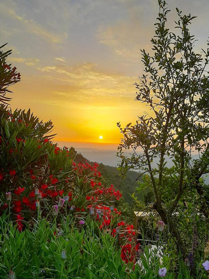 Pera Da Serra - Turismo No Espaco Rural โลซา ภายนอก รูปภาพ